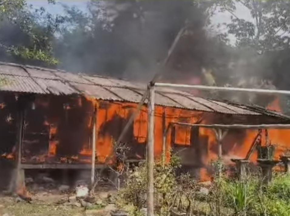 Kebakaran Lapak Tanaman Hias di Bogor, Kerugian Capai Puluhan Juta Rupiah