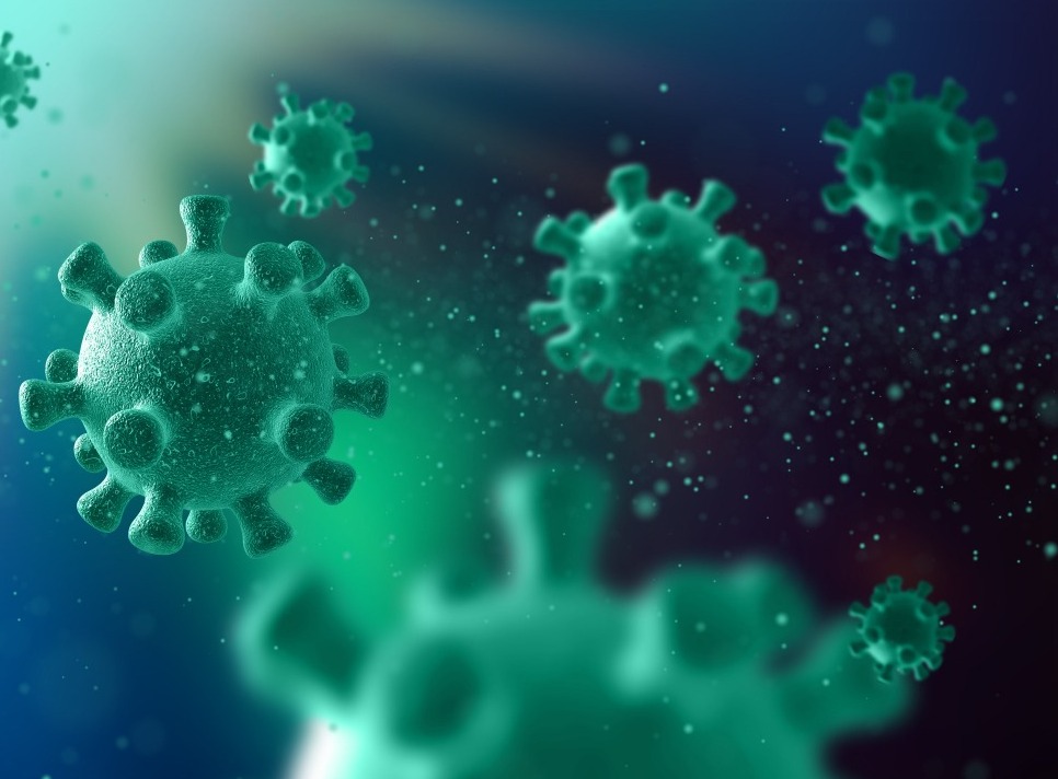 Kasus Hantavirus di Argentina Melonjak, Pemerintah Bersitegang dengan WHO