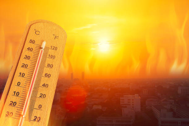 Pecah rekor! Suhu Beijing Tembus 40 Derajat Celcius Pertama Kali Dalam 9 Tahun