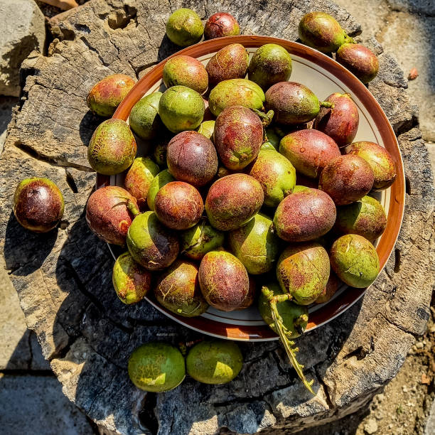 Simak 7 Manfaat Buah Matoa bagi Kesehatan tubuh yang Kaya Akan Manfaat, Bisa Bantu Atasi Berat Badan Loh