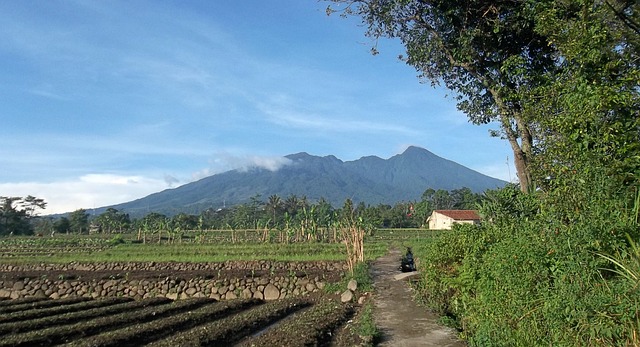 5 Rekomendasi Gunung di Jawa Barat untuk pendaki Pemula, Keindahan Alam yang Mempesona!    