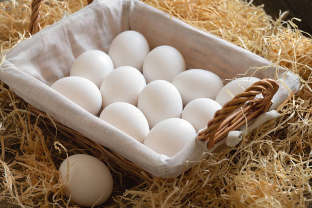 7 Manfaat Telur Ayam Kampung Bagi Kesehatan, Kaya Nutrisi dan Protein Berkualitas Tinggi