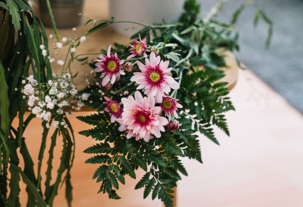 7 Tanaman Hias untuk Lebaran, Bikin Suasana Makin Segar dan Wangi