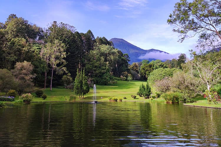 Rekomendasi 6 Tempat Wisata Cianjur yang Punya Pemandangan Indah, Cocok buat Liburan Akhir Tahun