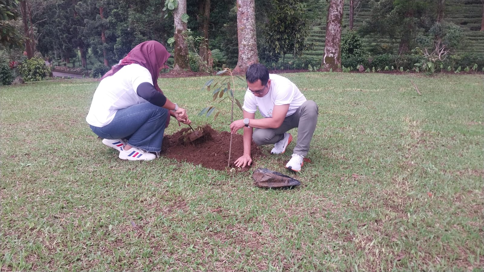 Mitigasi Bencana, Kejari Kabupaten Bogor Tanam Pohon di Kawasan Puncak