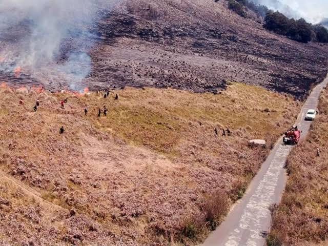 Kebakaran Bromo Meluas Sampai Taman Nasional Bromo Tengger Semeru (TNBTS) Ditutup
