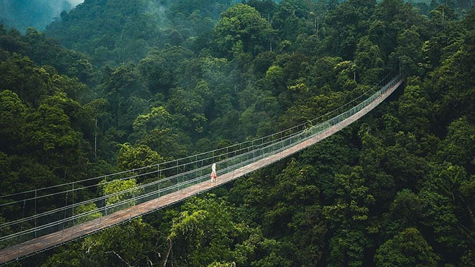 Jembatan Gantung Situ Gunung Sukabumi: Bisa Dijadikan Tempat Nge-date ...