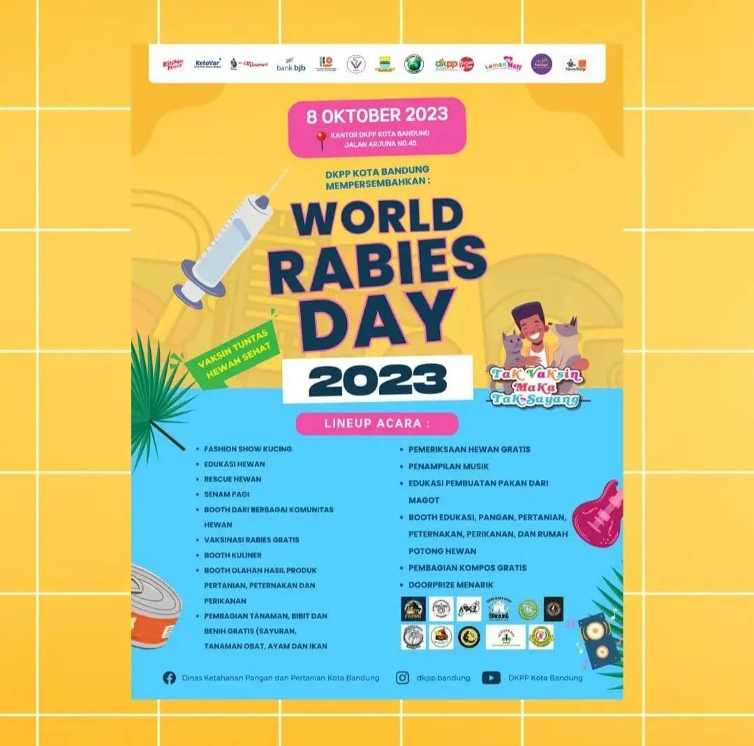 Peringati World Rabies Day 2023, Bandung Akan Gelar Lomba Fashion Show Kucing