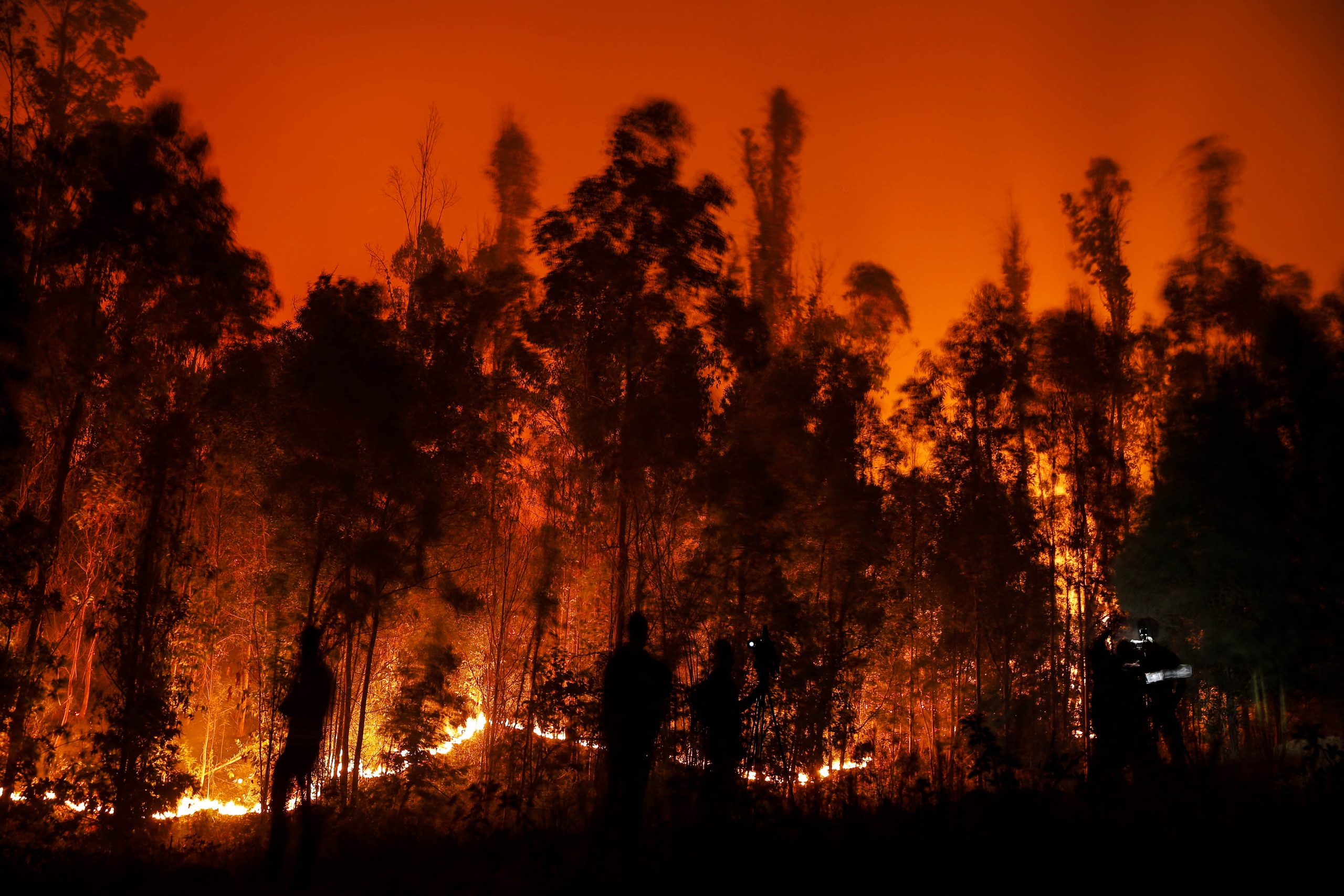 Polisi Selidiki Penyebab Ruko Pecel Lele di Gunung Putri yang Akibatkan 2 Orang Hangus Terbakar