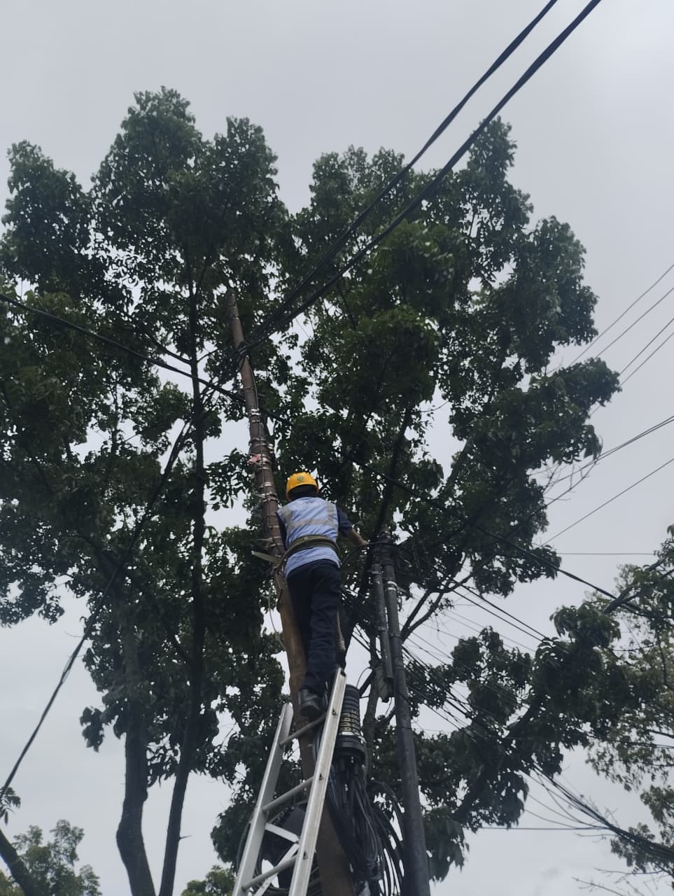 PLN Icon Plus dan Pemkot Bandung Bersinergi Menata Jaringan Fiber Optik demi Layanan Andal 