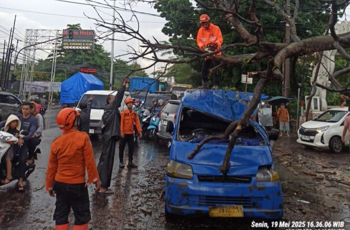Pohon Tumbang Akibat Angin Kencang, Tiga Orang Luka