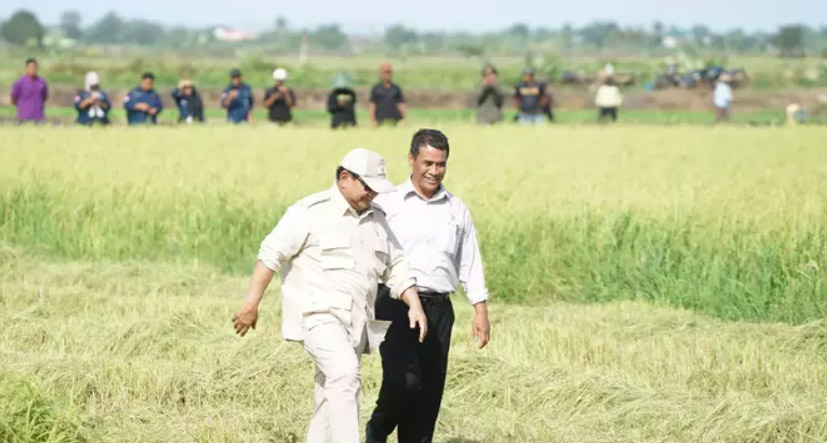 Presiden Prabowo Subianto Proyeksikan Merauke jadi Lumbung Pangan Nasional