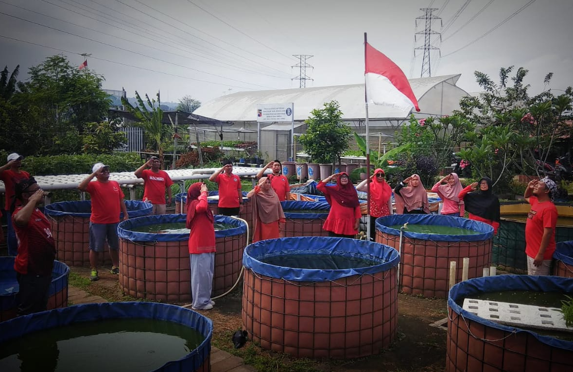 Petani di Bogor Kibarkan Bendera 'Merah-Putih' di Kolam Lele