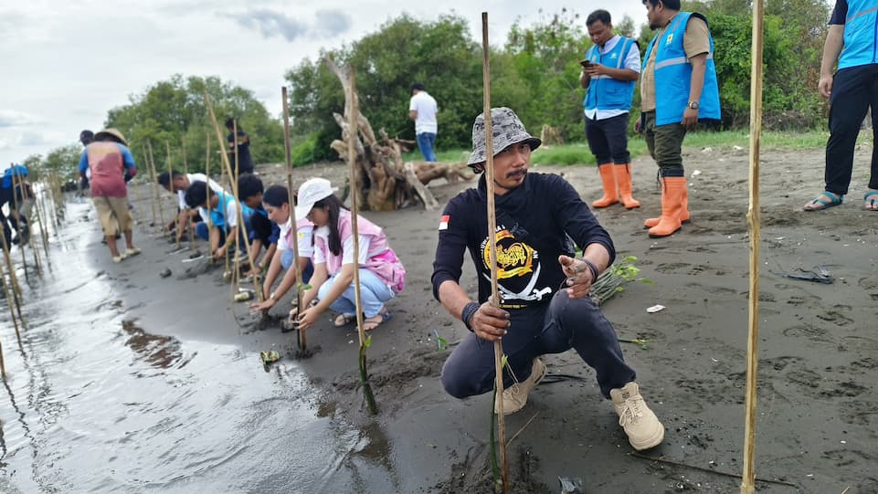 Rayakan Hari Menanam Pohon, PLN Icon Plus dan PLN Group Serentak Hijaukan Indonesia   