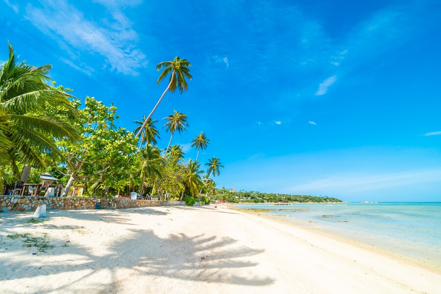 Pesona 5 Pantai di Jawa Barat yang Cocok untuk Liburan Akhir Tahun