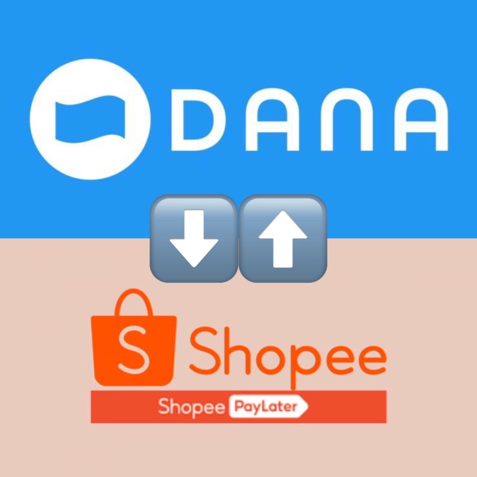 Cara Pinjam Uang di DANA Dompet Digital Terbaru dan Termudah 2023 Melalui Shopee PayLater