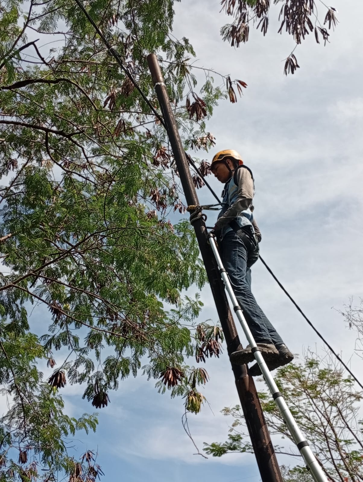 PLN Icon Plus Tingkatkan Jaringan Lewat Penataan dan Pemeliharaan Aset Ketenagalistrikan di Cibeber, Cirebon