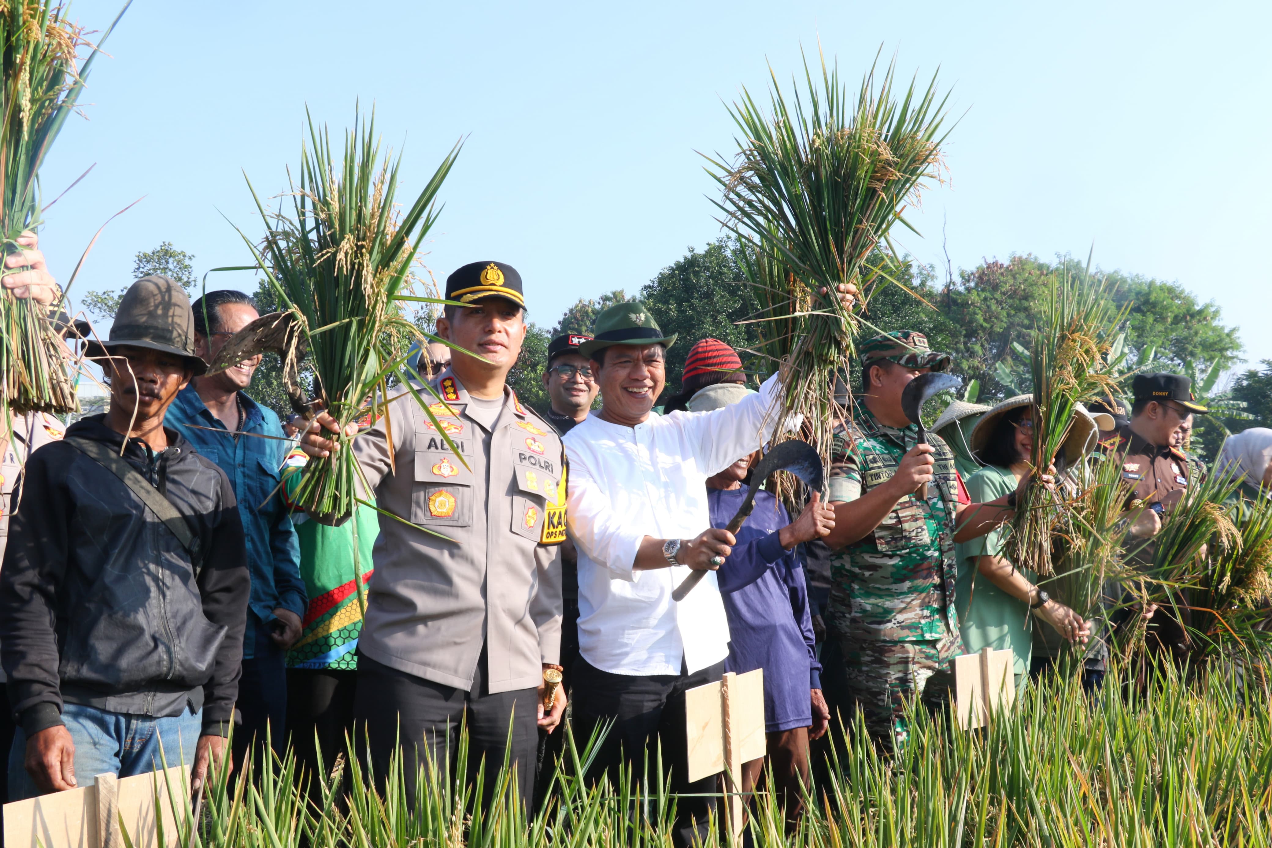 Berkomitmen Dukung Swasembada Pangan Nasional, Kang DS: Penetapan Pembebasan Pajak Lahan Sawah Abadi