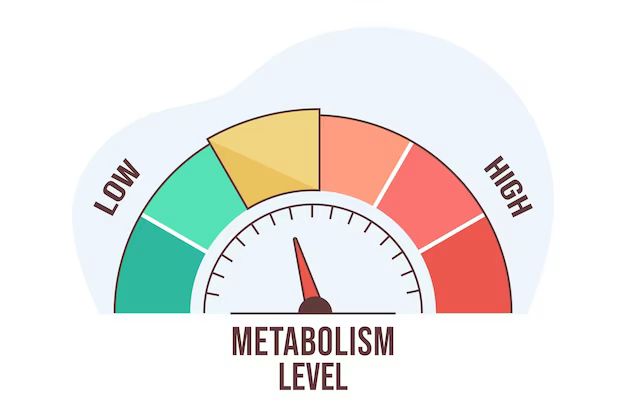 Metabolisme Cepat Berat Badan pun Cepat Turunnya, Begini Cara Mudahnya!
