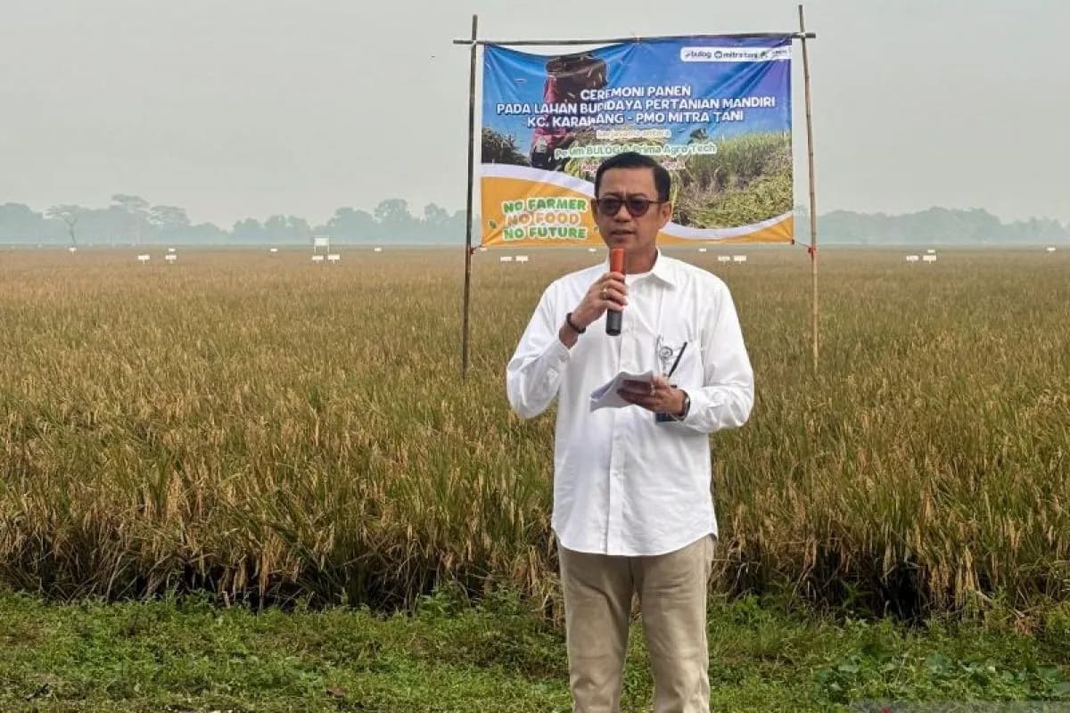 Sampai Awal Mei 2025, Bulog Jabar Serap Beras Hasil Panen Petani 338.032 ton