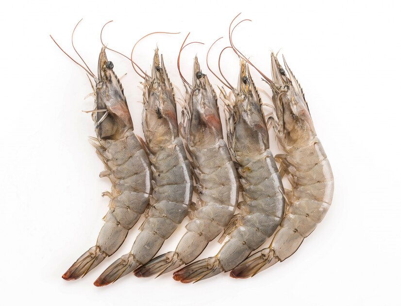 5 Kreasi Lezat dari Udang yang Wajib Dicoba di Dapur Anda, Mudah Dibuat!