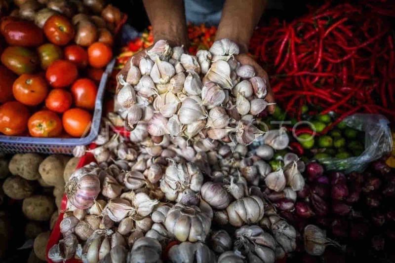 Bawang Putih Makin Mahal! Harga Capai Rp40.580 per Kg, Ini Rincian Harga Pangan Lainnya