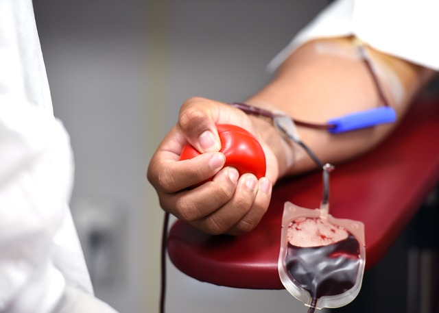 Tips dan Panduan Penting Dalam Melakukan Donor Darah