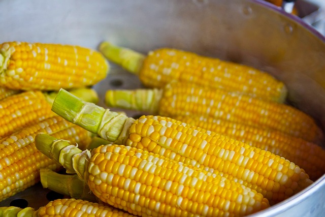 7 Manfaat Jagung dengan Kekayaan Gizi untuk Kesehatan Optimal  