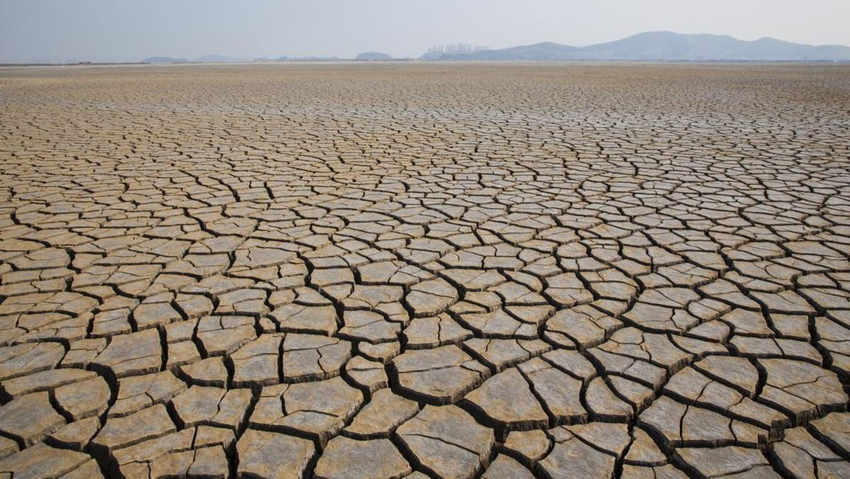 6 Penyebab Cuaca di Indonesia Semakin Panas, Salah Satunya El Niño dan La Niña