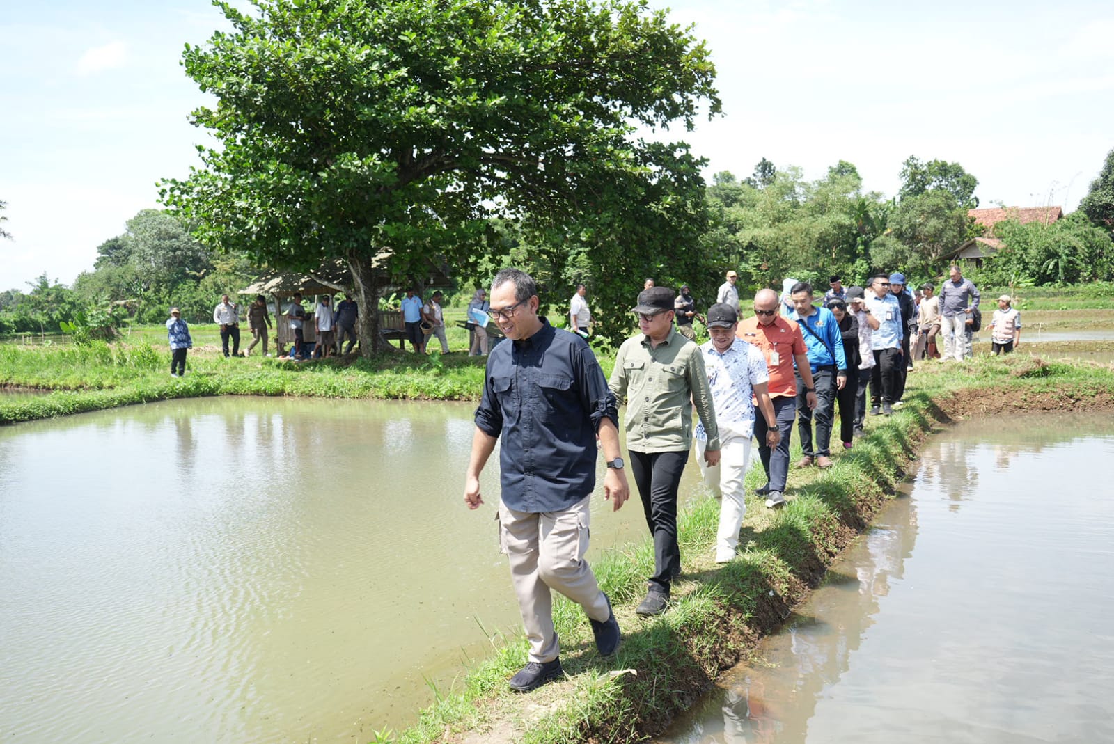 Percepat Swasembada Pangan 2027, Wamendagri Bima Arya Tinjau Rehabilitasi Irigasi dan Potensi Perikanan Ciseen