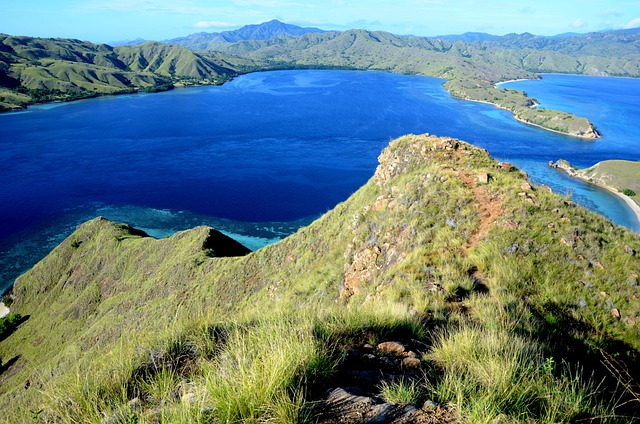 5 Fakta Unik Pulau Komodo yang Menakjubkan dan Memikat Hati di Nusa Tenggara Timur