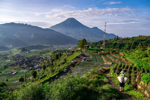 7 Daerah Terdingin di Indonesia dengan Pemandangan yang Memukau