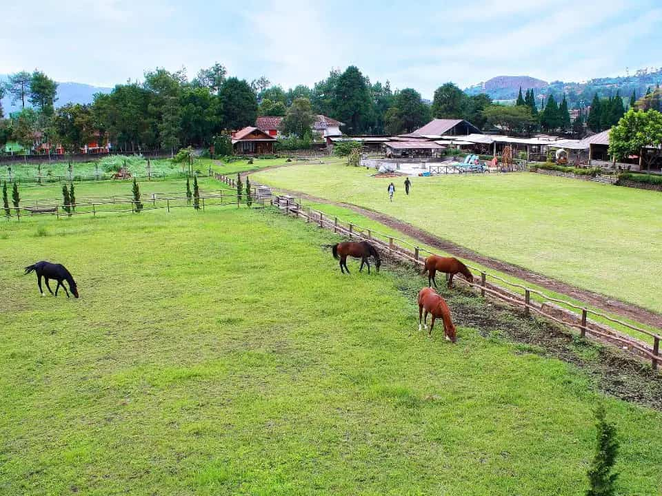 7 Rekomendasi Wisata Anak Paling Hits di Bandung, Sempurna untuk Liburan & Wajib Dikunjungi