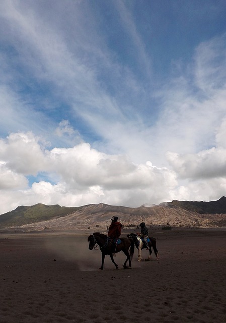 Menikmati Keindahan Wisata Bromo: Petualangan Tak Terlupakan dengan Keindahan Alam Menawan!