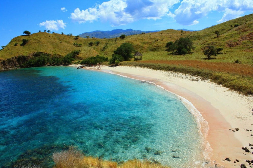 Pink Beach Lombok: Hidden Gem dan Tempat Healing di Pantai Berpasir Pink yang Menyenangkan