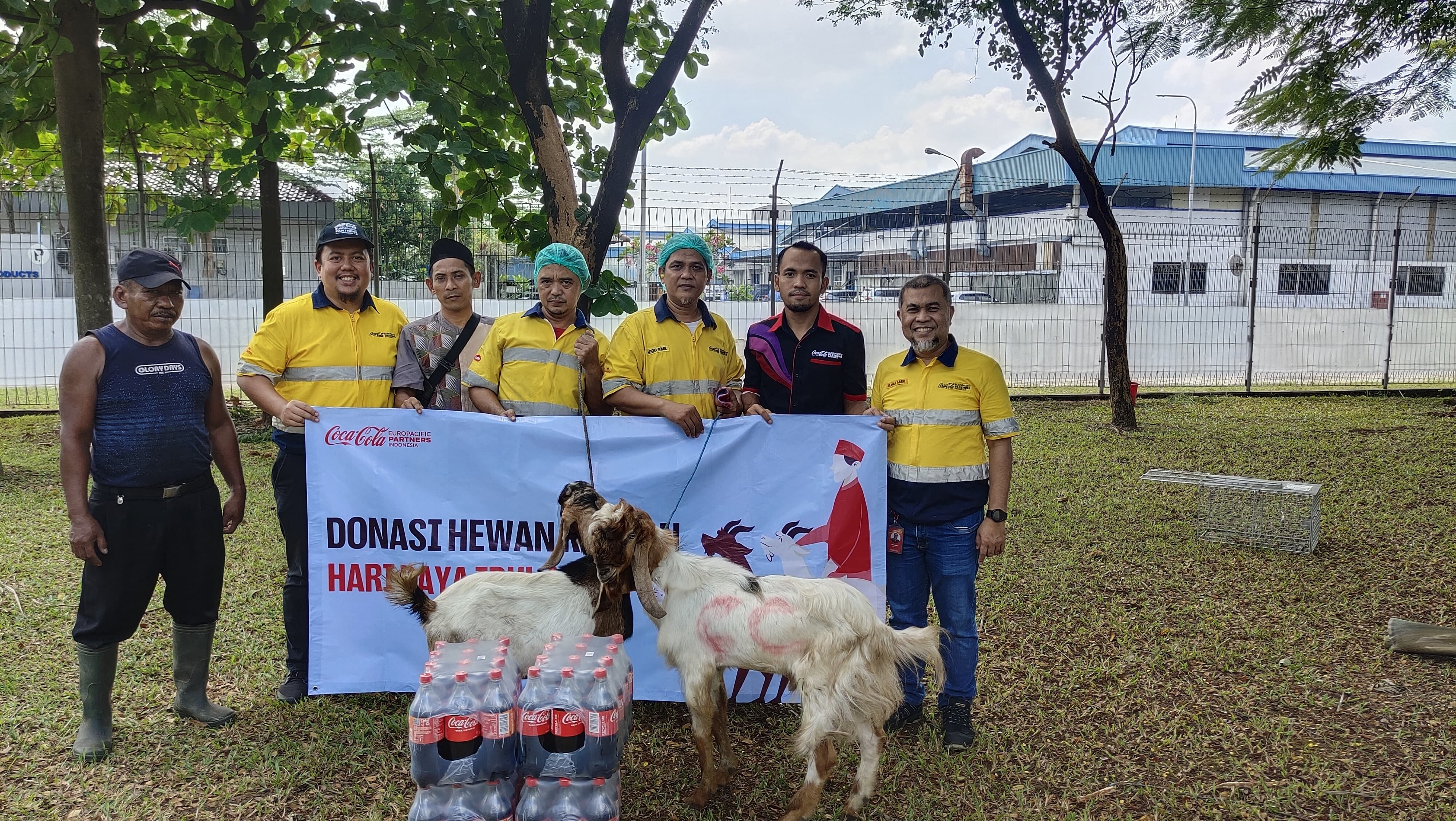 Berkah Idul Adha 1445 Hijriah: CCEP Indonesia Bagikan Hewan Qurban dan Dukung Pengembangan Masyarakat