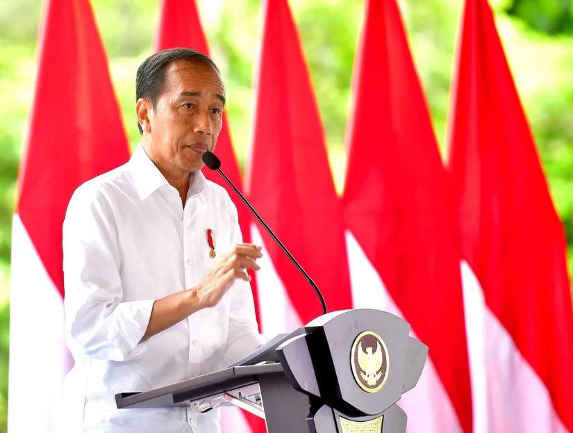 Jokowi Ungkap Harga Tanah di IKN Jauh Lebih Murah Tapi Gampang Naiknya