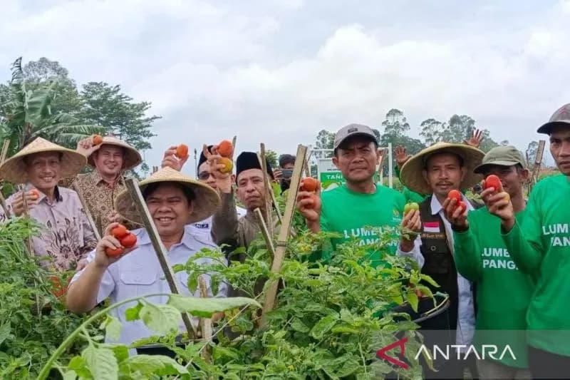 Baznas Mendukung Kemandirian Ekonomi di Garut Melalui Kelompok Tani Binaan