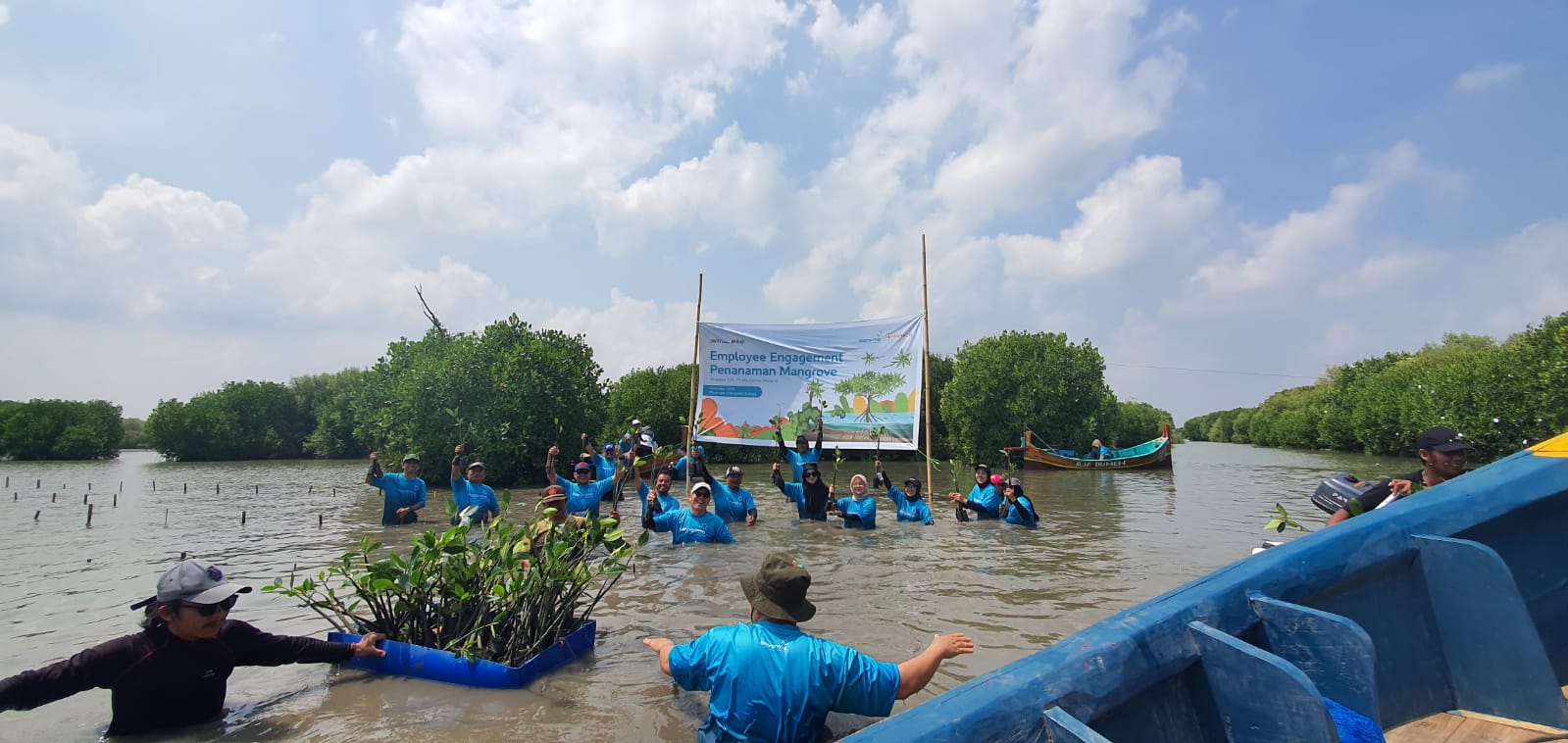 Atasi Dampak Abrasi di Desa Mayangan : Bio Farma Bawa 100 Karyawan Tanam 3500 Mangrove