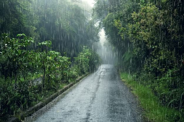 Mengungkap Misteri Alam: Cara Memprediksi Hujan dengan Lebih Akurat