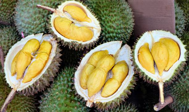 Manfaat dan Efek Samping Buah Durian: Keseimbangan Konsumsi yang Perlu Dipertimbangkan
