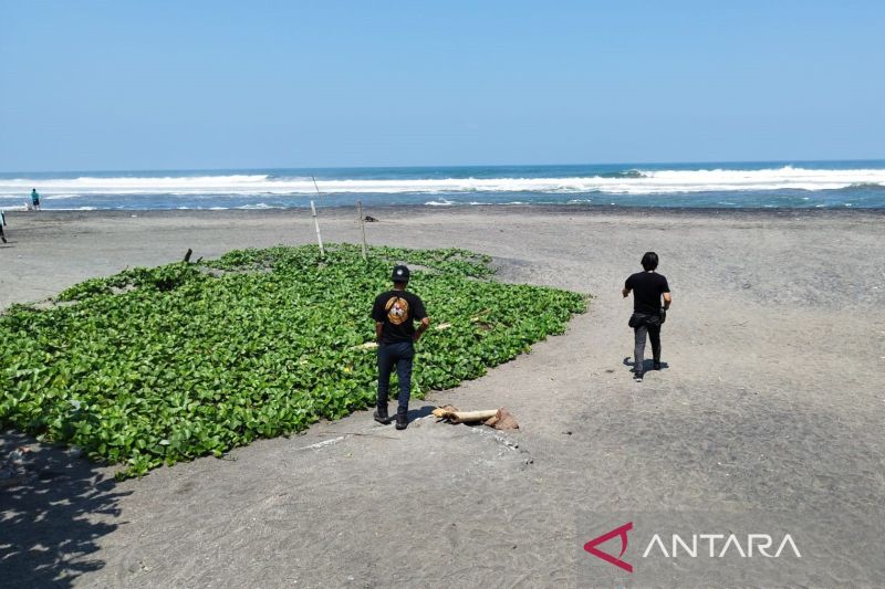 Petugas Gabungan Lakukan Pengawasan Ketat di Pantai Selatan Cianjur Selama Libur Akhir Tahun