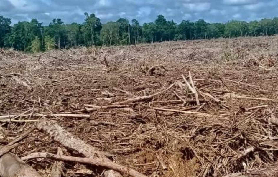 WALHI Jawa Barat Sebut 25 Hektare Lahan di Kawasan Puncak Bogor Hilang Akibat Alih Fungsi Lahan