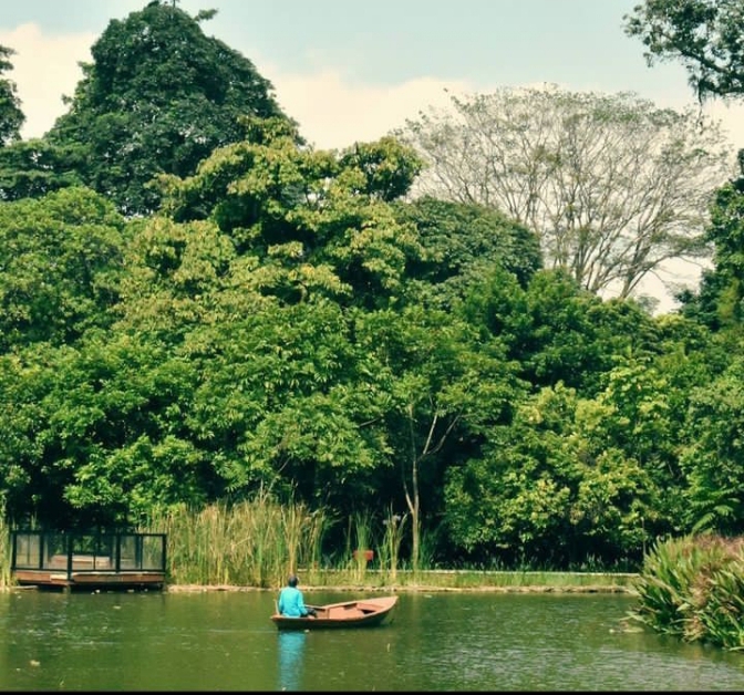 5 Wisata di Bogor Dekat dengan Jakarta: Menikmati Keindahan Alam dan Budaya