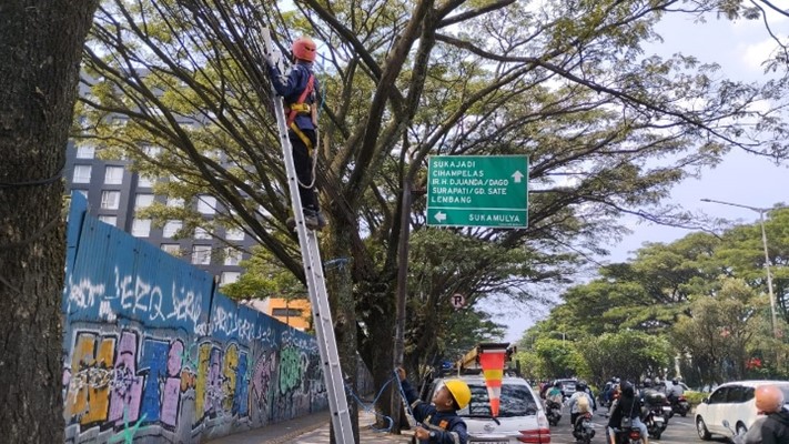 PLN Icon Plus dan Diskominfo Kota Bandung Berkolaborasi untuk Keindahan Kota   