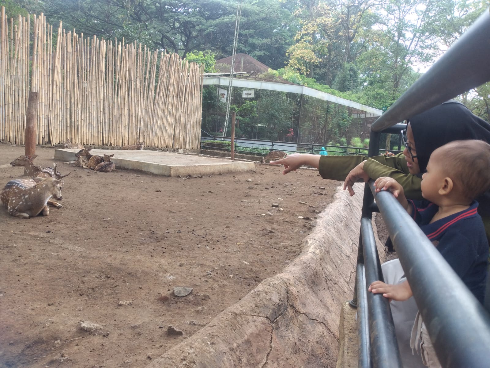Jumlah Kunjungan Wisatawan ke Bandung Zoo selama Libur Lebaran 2024 Alami Penurunan