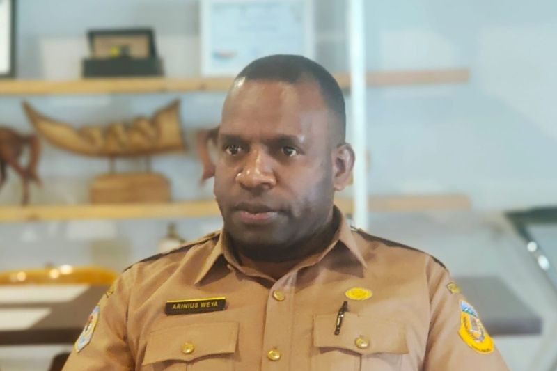 Dinkes Papua Minta Puskesmas Lakukan Sosialisasi Bahaya ISPA ke Masyarakat