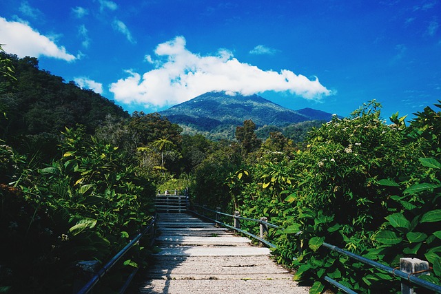 Menaklukkan Ketinggian: Gunung Tertinggi di Jawa Barat yang Memikat