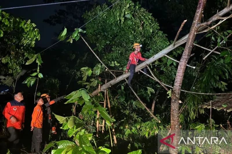 41 Kali Bencana Terjadi di Sukabumi Selama Oktober 2024