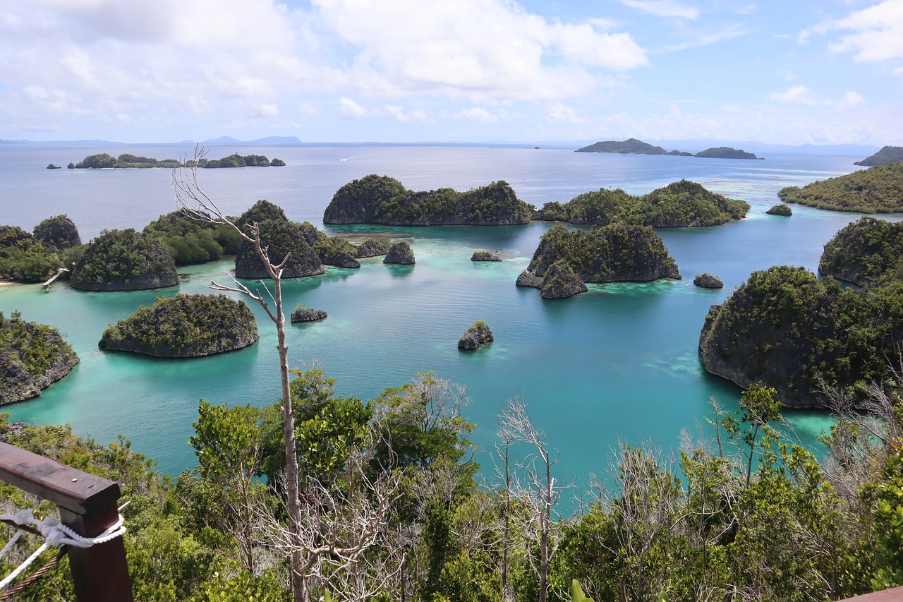 Pesona Alam Ujung Timur Indonesia: Menyelami Keindahan Bawah Laut yang Memukau di Raja Ampat